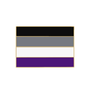 Pin rectangulaire drapeau asexuel